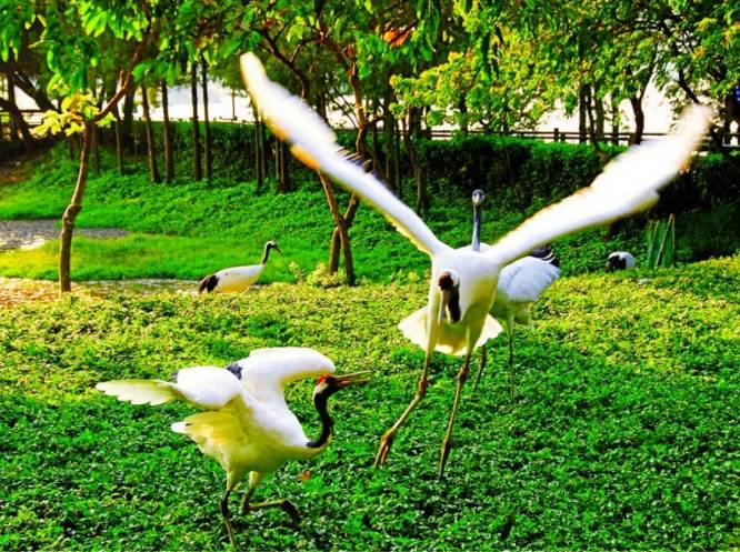 肇庆高铁游最强攻略,肇庆迎来一条新高铁