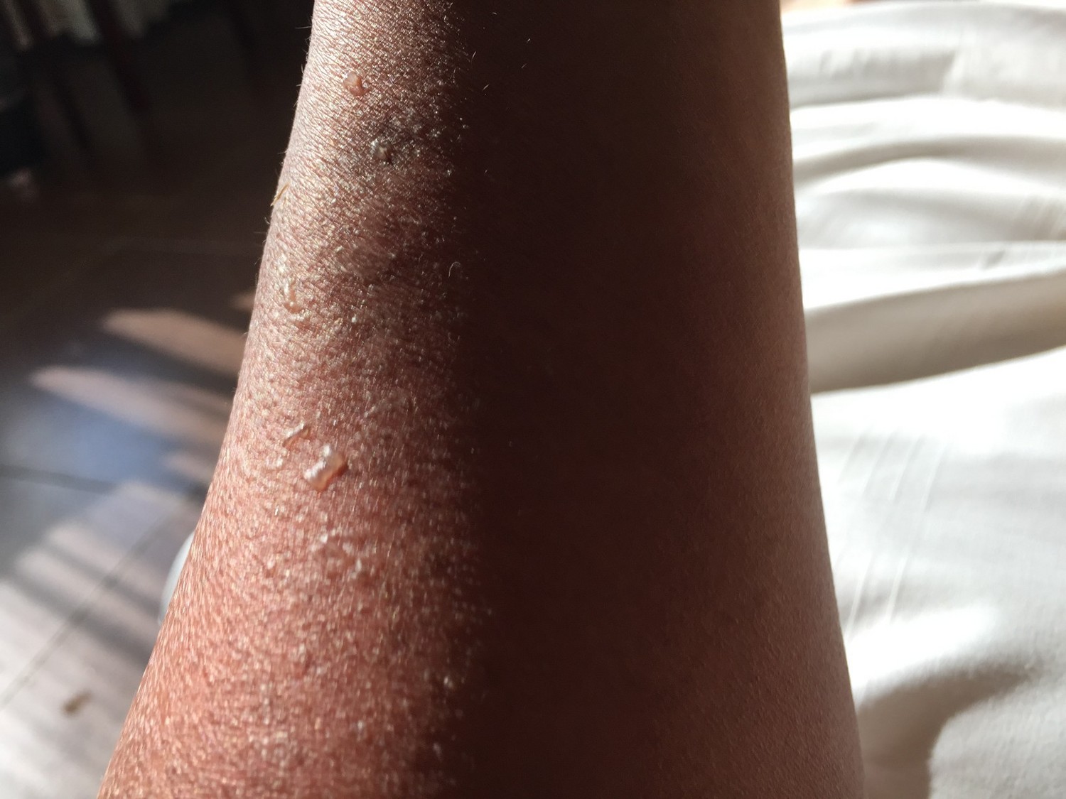 单车骑行环海南岛攻略,环海南岛骑行一圈花费