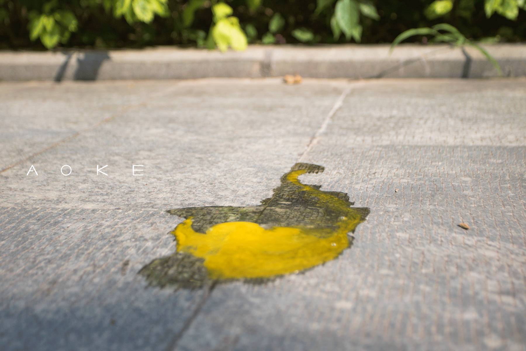 两天跑遍岛内外十几家小众饮品店，这里总有一杯你没喝过的茶