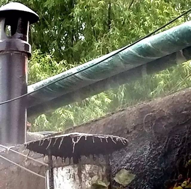 啄木鸟行动消灭错别字,朝阳市建平县啄木鸟行动