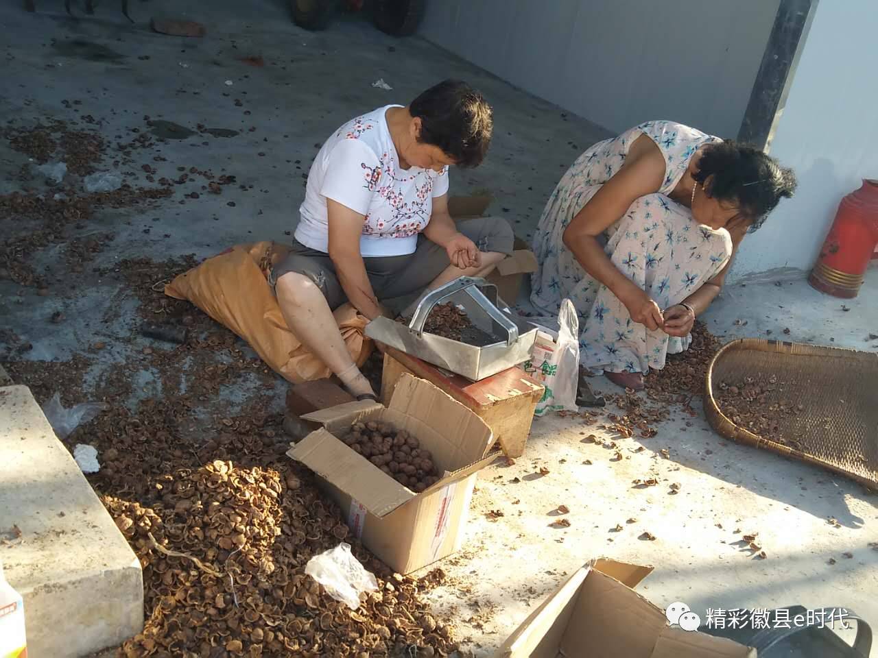 梁倩娟农村电商直播,梁倩娟谈电商政策