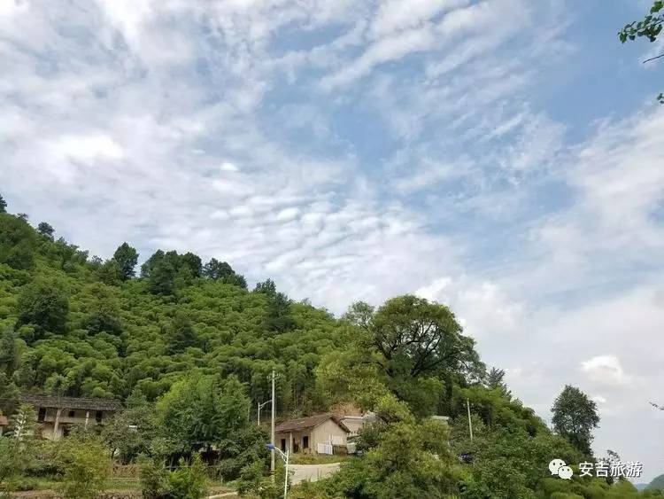 中国大竹海游玩攻略,浙北安吉大竹海攻略