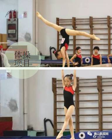 佛山十强奖牌,佛山第10届运动会什么时候开