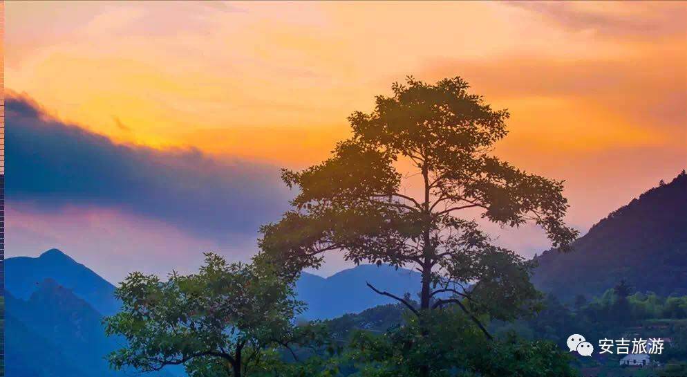 中国大竹海游玩攻略,浙北安吉大竹海攻略