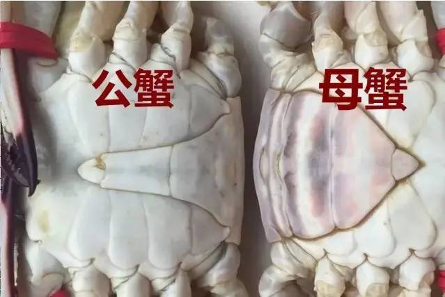 原创｜烟台一年最嗨的日子来了！即将开海，这些图却火了