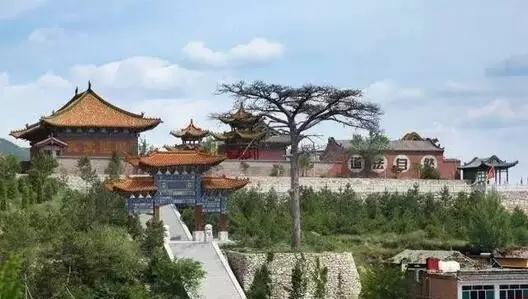 樂吧天下大同每周六发团