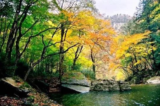 创建全域旅游示范,创建国家全域旅游示范区视频