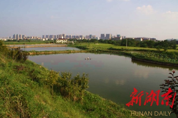 淳化土桥美丽乡村,江宁区土桥美丽乡村