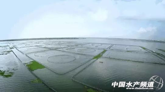 阳澄湖大闸蟹市场螃蟹价格,阳澄湖大闸蟹开捕时间2020价格
