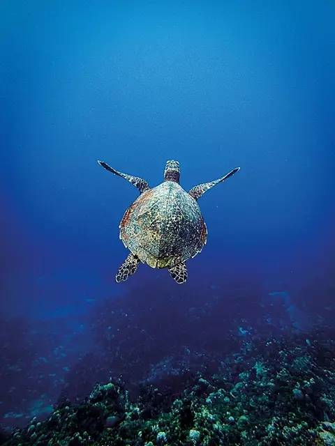 有意思｜跟好心情私奔，有些道理在岸上知不道