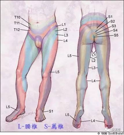 解决坐骨神经痛的穴位,坐骨神经最快治愈手法
