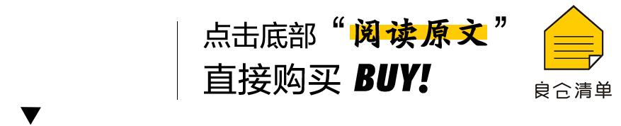 顶级丹麦汽车音响,顶级双扬声器音箱