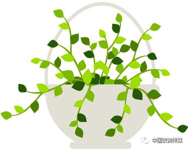 荔浦芋头病虫害的防治方法,芋头高产栽培和病虫害防治视频