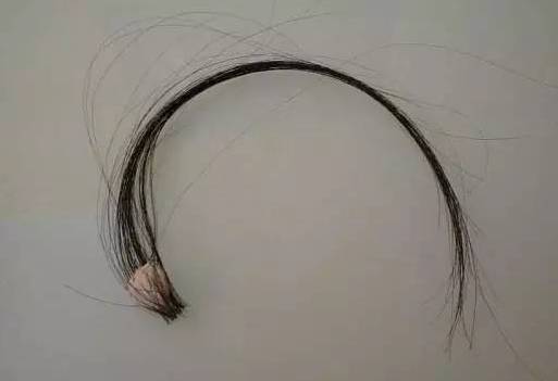 剁手团|掉头发?轻松搞定这个烦人的小妖精!