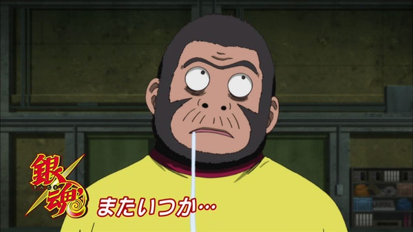 银魂真人版观影顺序,银魂真人剧毁了多少