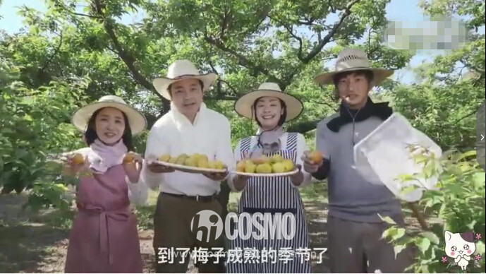 乐活家｜看完这支12分钟的麒麟啤酒广告，我感觉之前的日本白去了，没玩对啊！