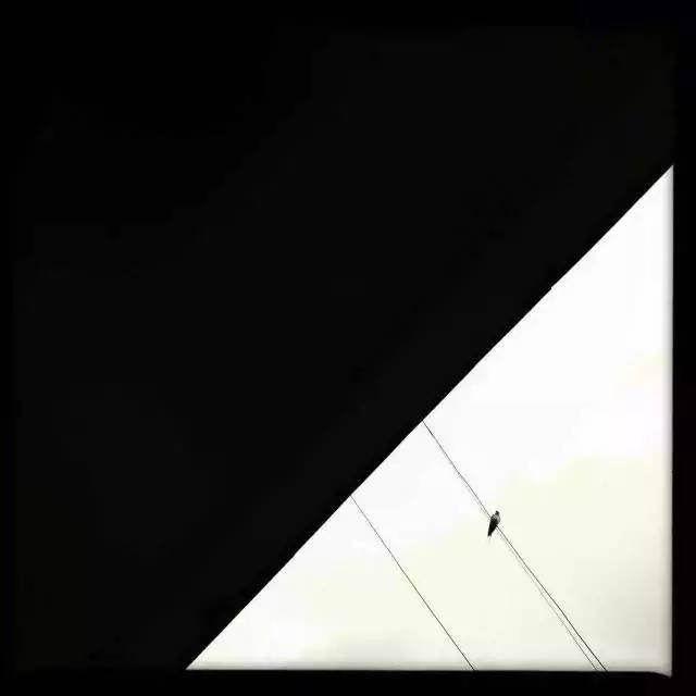 1分钟轻松搞定8个手机摄影技巧,想学一点入门的手机摄影技巧