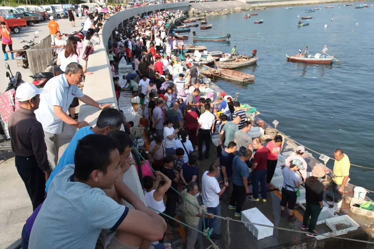 开海最新海鲜,开海时海鲜价