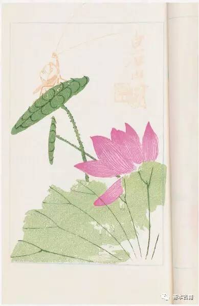 笺纸水墨,笺纸绢纸