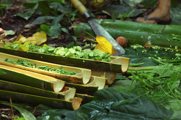 我们相爱吧无尾熊插曲,我们相爱吧无尾熊探班