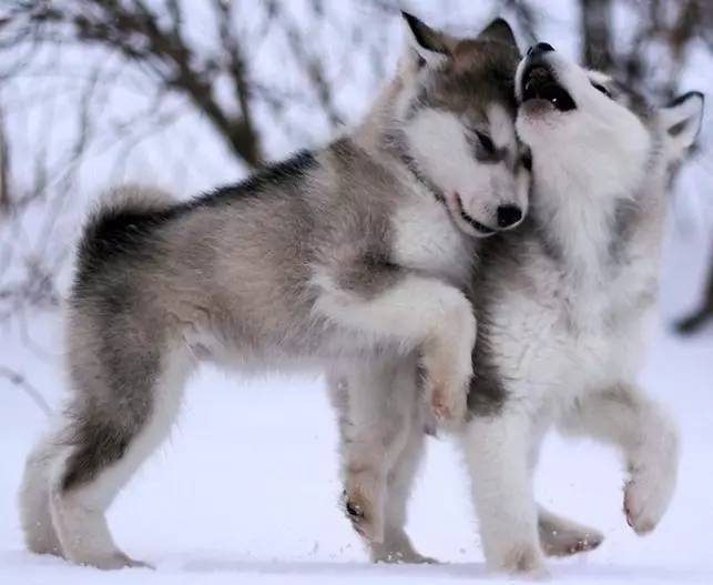 美国各州差别大吗,美国各州和省的区别