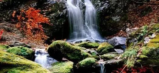 沈阳最美赏枫地最新开放,沈阳附近赏枫