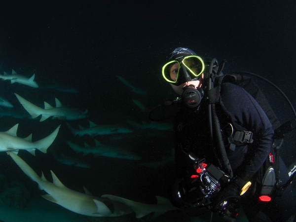 船宿潜水要什么水平,船宿潜水推荐