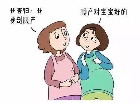 便民｜青白江的准爸准妈们！这儿有一份生育“大礼包”请查收！