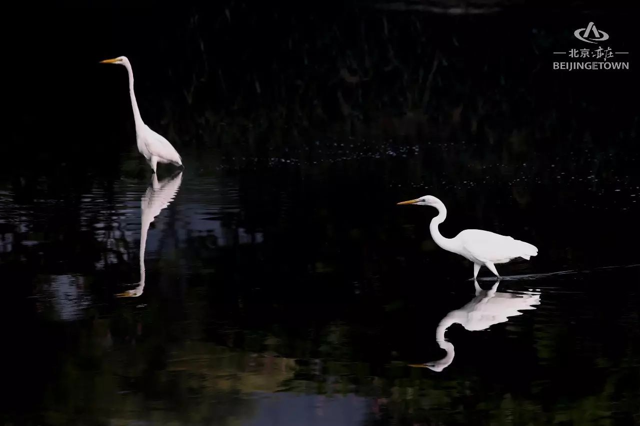 快来领取你的可爱姓氏壁纸,免费领取动态热门主题壁纸