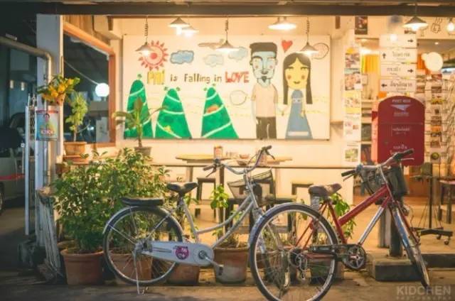 我们相爱吧无尾熊插曲,我们相爱吧无尾熊探班