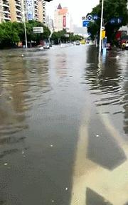 东莞市南城街道淹了没,东莞大雨哪几个镇不会被淹