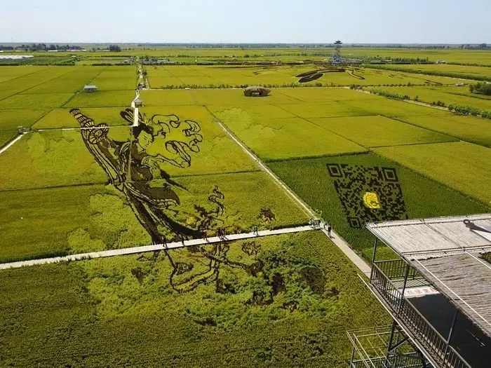 沈阳稻梦空间,沈阳稻梦空间星空