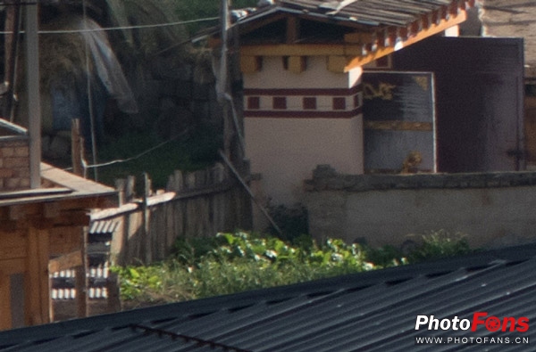 一镜走天下腾龙镜头,一镜走天下18-200腾龙镜头