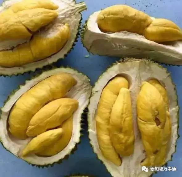 高能预警：榴莲价格要比黄金还贵了？！