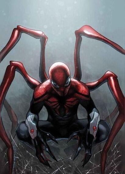 又萌又可爱的小蜘蛛你见过吗,盘点最可爱的小蜘蛛