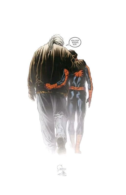 又萌又可爱的小蜘蛛你见过吗,盘点最可爱的小蜘蛛