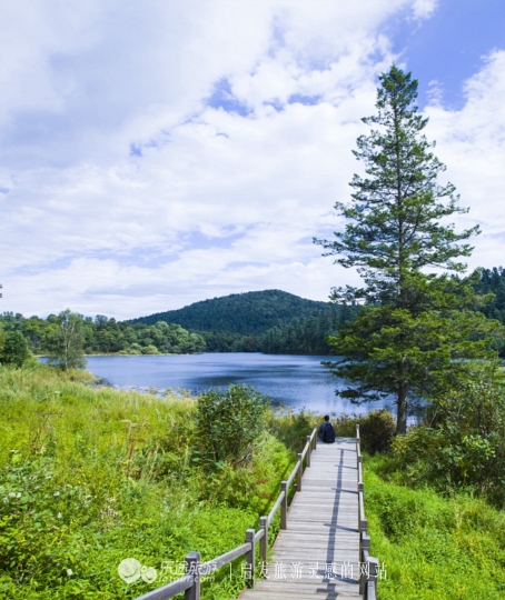 镜泊湖火山口免费景点,镜泊湖火山口森林景区