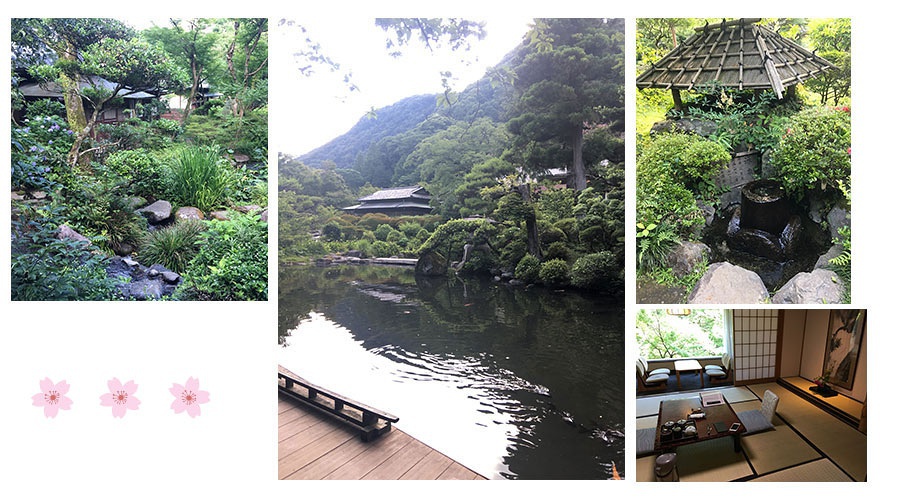 豆瓣日记太虚幻境,豆瓣日记冥想