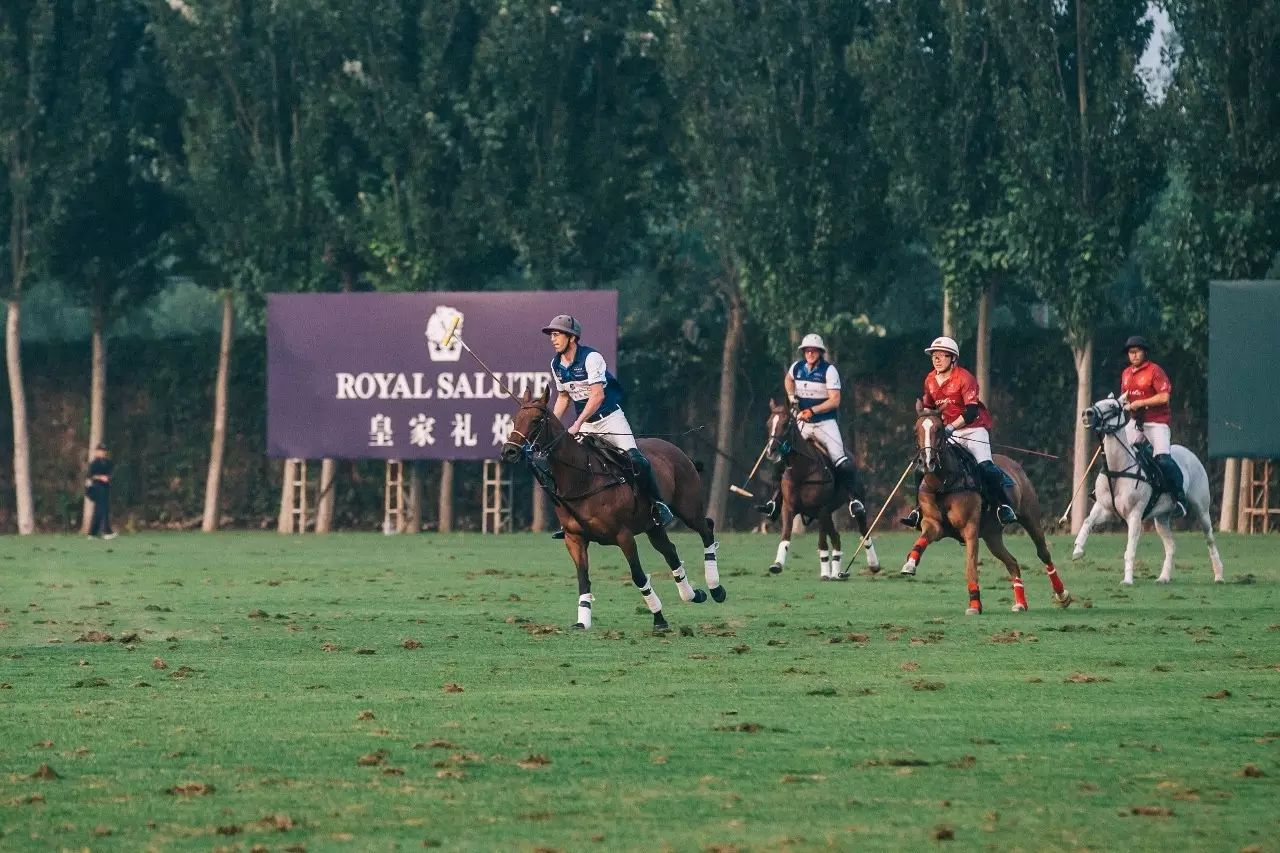 什么样的运动是hiit运动,thegameofkings