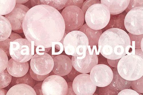 豆瓣出品：周末去哪儿·深圳丨这个朝代真正实现了靠脸可以混饭吃！