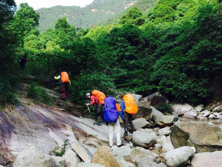 走近你就走进了痛苦出自哪里,走近你就是走近痛苦