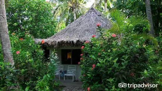 免签的海岛国家,斐济美丽的海滩