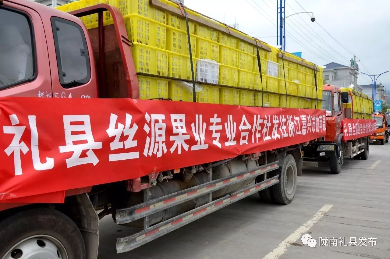 礼县扶贫工作,甘肃礼县产业扶贫项目