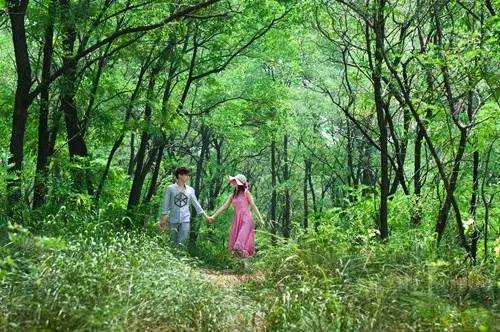 莱西：别样“慢城”