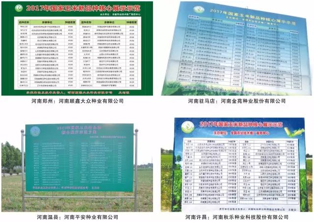 2019年农业部推广的玉米新品种,2022年国家审定的玉米新品种