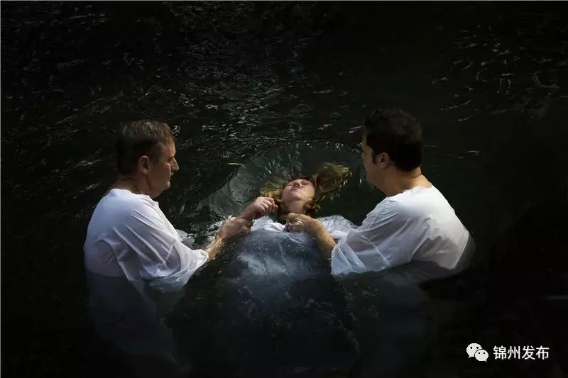 锦州摄影拍鸟,锦州鸟类摄影人