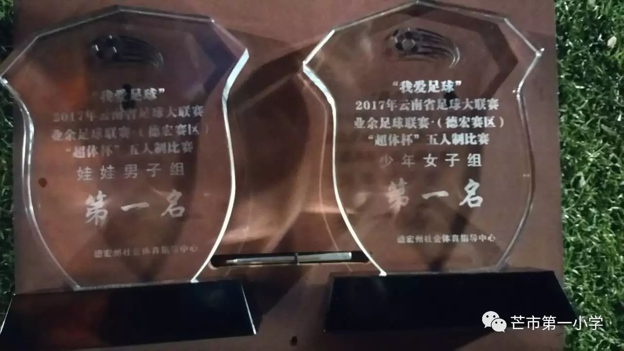 芒市足球联赛,2018年芒市幼苗杯足球赛