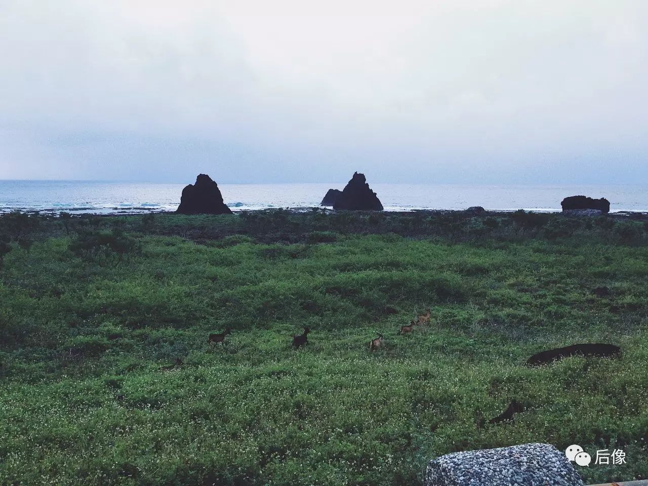 涠洲岛火山岛攻略图文,涠洲岛vs海陵岛哪个好玩