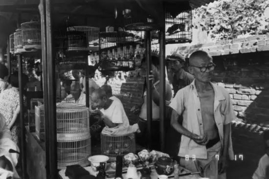 红桥市场都有什么,你还记得老红桥市场吗