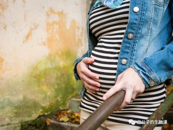 怀孕期间不小心摔倒会不会流产,怀孕摔了一跤有点痛会不会流产